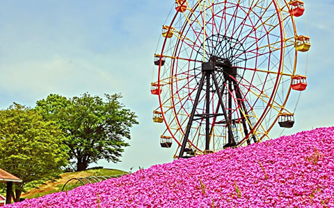 東京ドイツ村